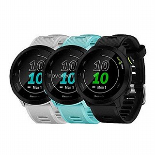 garmin 10