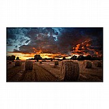 ��� ���� ������ "Samsung VM46T-U 46