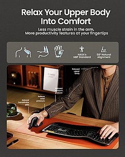 ���� �������� ������� ������ ProtoArc EM11 NL Bluetooth Ergonomic Vertical Mouse