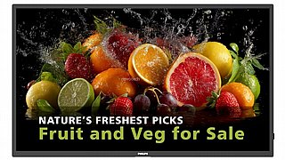 ��� ����� �������, PHILIPS 98" SIGNAGE,4K,500Nits,25%Haze,24/7,L/P,Andr11,WiFi 98BDL5050D/00 