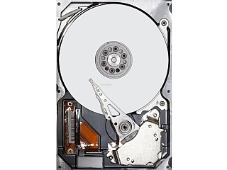���� ���� ������ HGST Deskstar NAS H3IKNAS1000025672SWW 10000GB ������