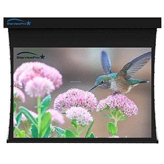 ��� ����� ����� 120" ���� 4:3 ����� StarViewPro