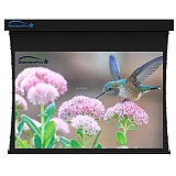 ��� ����� ����� 120" ���� 4:3 ����� StarViewPro