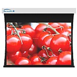 ��� ����� ����� 84" ���� 4:3 ����� StarViewPro