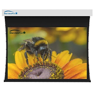 ��� ����� ����� 100" ���� 4:3 ����� StarViewPro