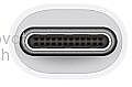 ���� Apple USB-C to USB Adapter  MJ1M2ZM/A