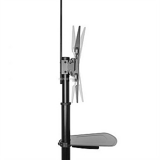���� ������� LUMI TTV03-46TW