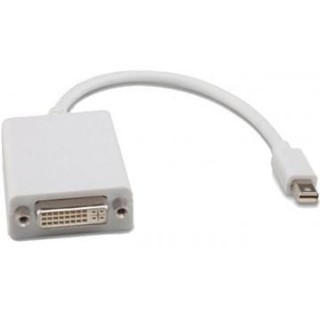 ���� ������ Mini Display Port ������ DVI ���� ����� 0.1 �����