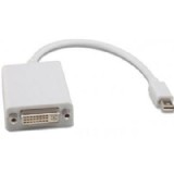 ���� ������ Mini Display Port ������ DVI ���� ����� 0.1 �����